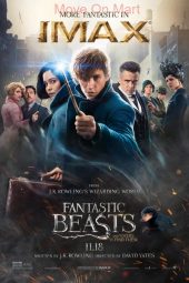 Fantastic Beasts and Where to Find Them (2016)