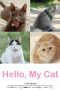 Download Film Hello My Cat (2019)