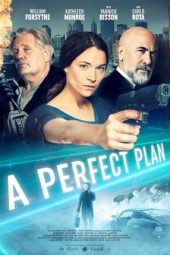 Download Film A Perfect Plan (2020) Sub Indo