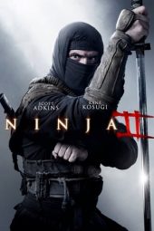 Ninja Shadow of a Tear (2013)