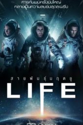 Download Film Life (2017)