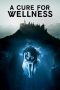 A Cure for Wellness (2017)