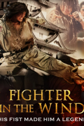 Fighter in the Wind (2004)