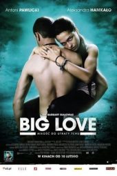 Big Love (2012)