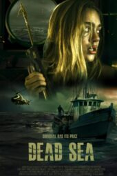 Dead Sea: Flycatcher (2024)