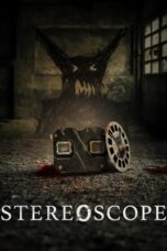 Stereoscope (2024)